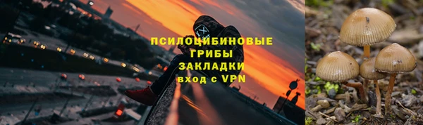 apvp Алексеевка