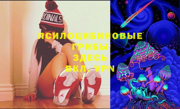 бошки Нягань