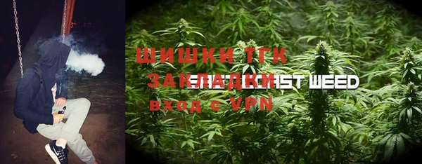 гидропоника Алзамай