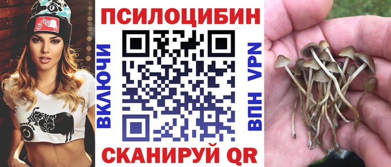 blacksprut   Бакал  Псилоцибиновые грибы мухоморы 